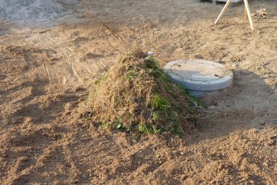 Projekt Garten startet